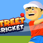 Street Cricket